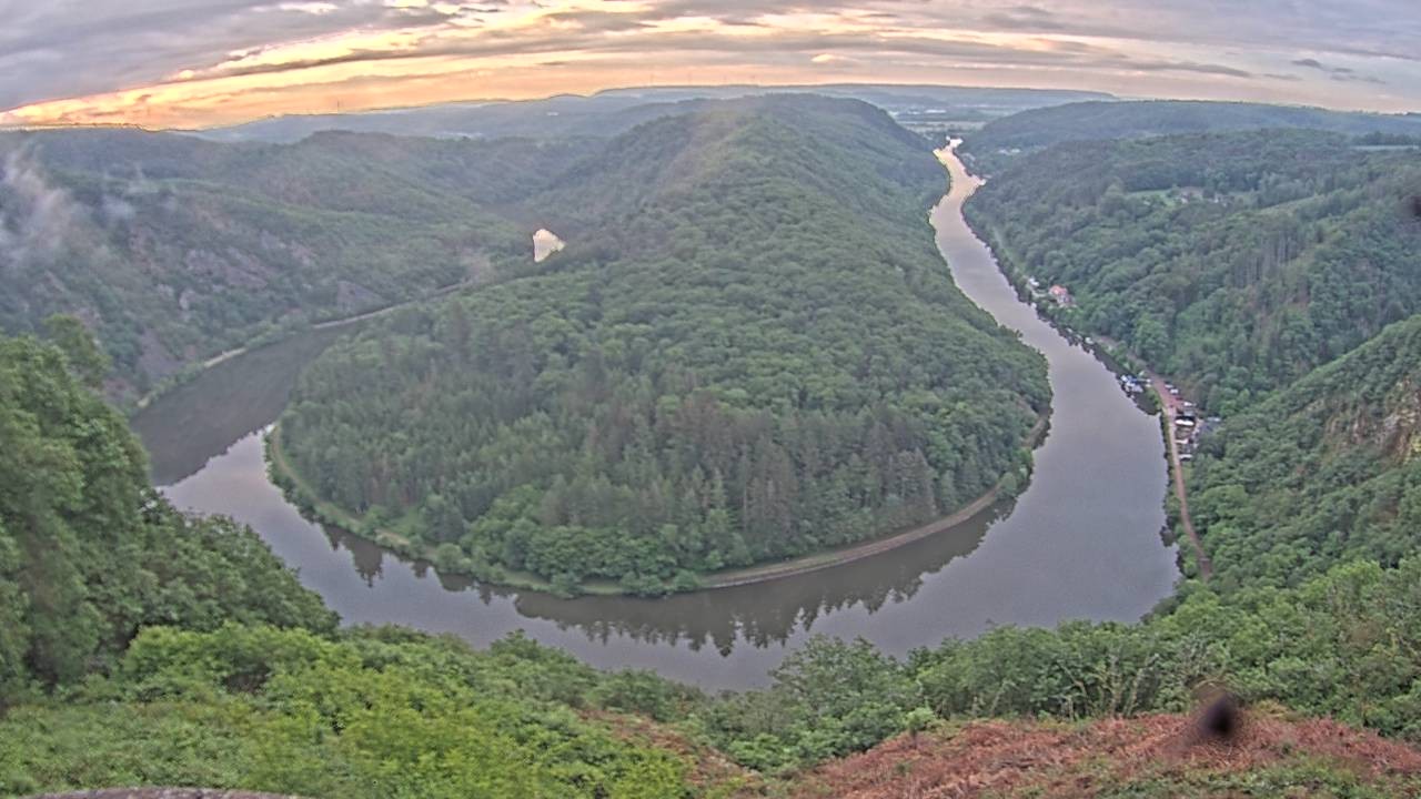 Archived image Webcam Canopy Pathway Saar Loop