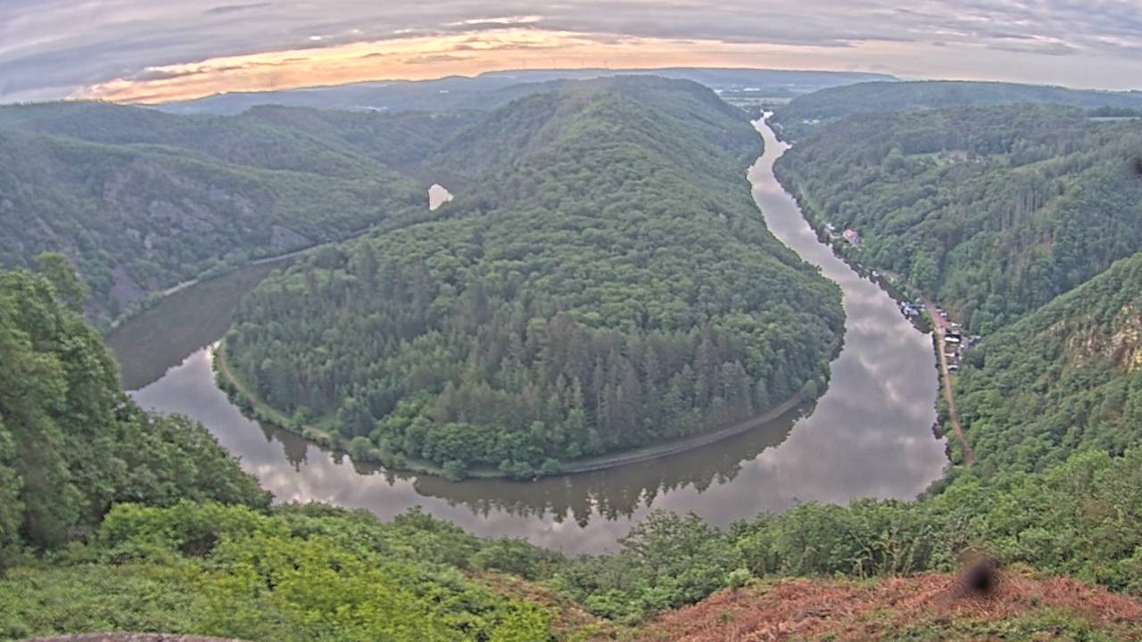 Archived image Webcam Canopy Pathway Saar Loop