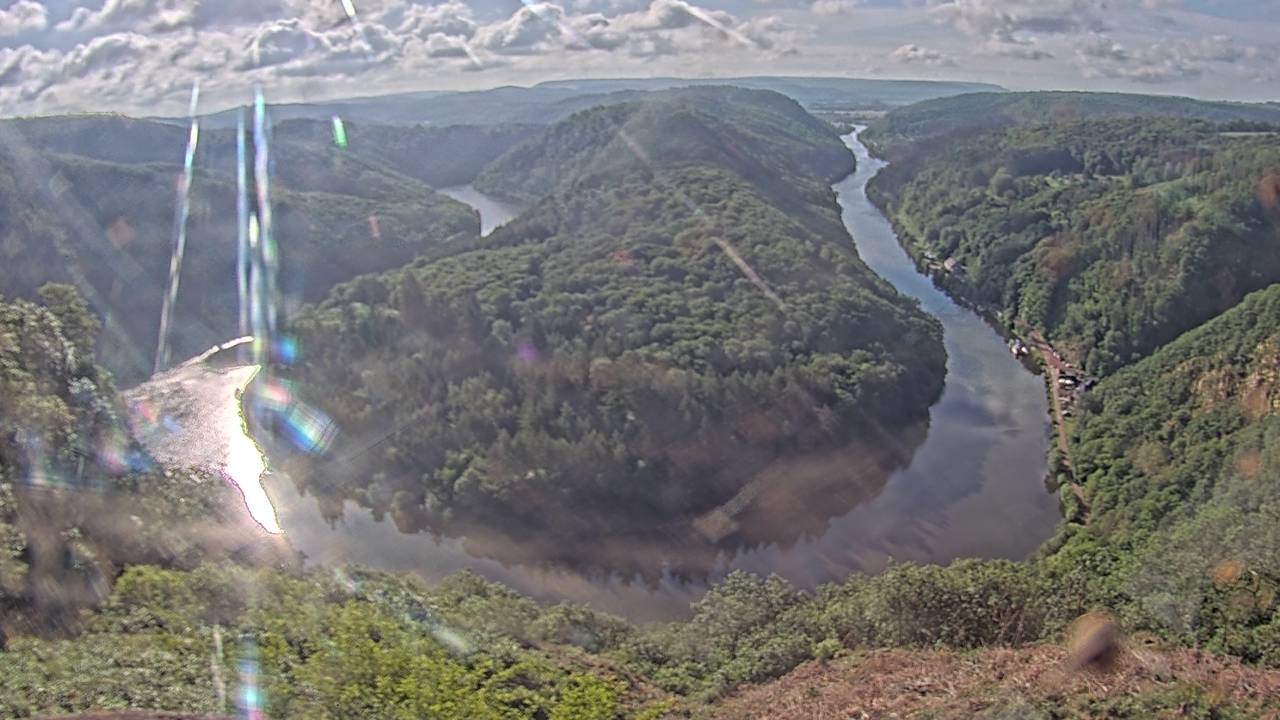 Archived image Webcam Canopy Pathway Saar Loop