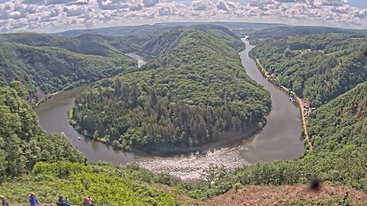 Archived image Webcam Canopy Pathway Saar Loop