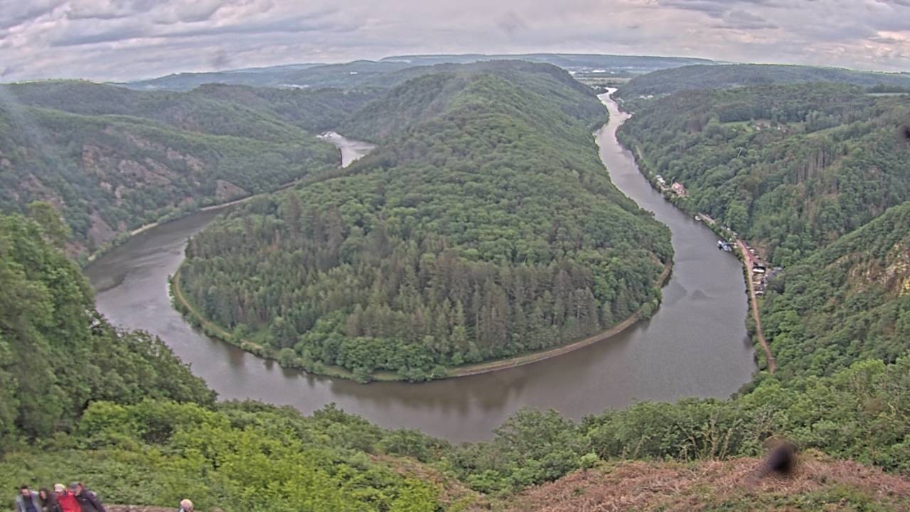 Archived image Webcam Canopy Pathway Saar Loop