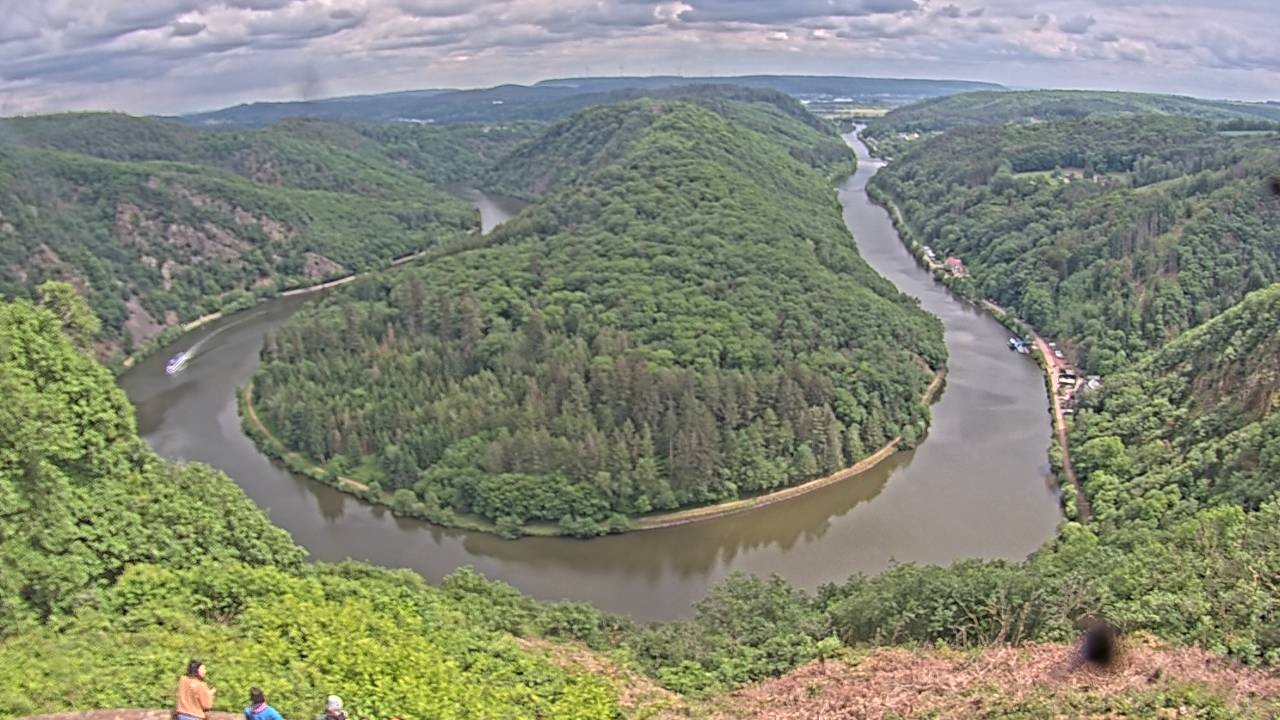 Archived image Webcam Canopy Pathway Saar Loop