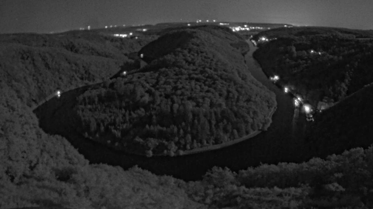 Archived image Webcam Canopy Pathway Saar Loop