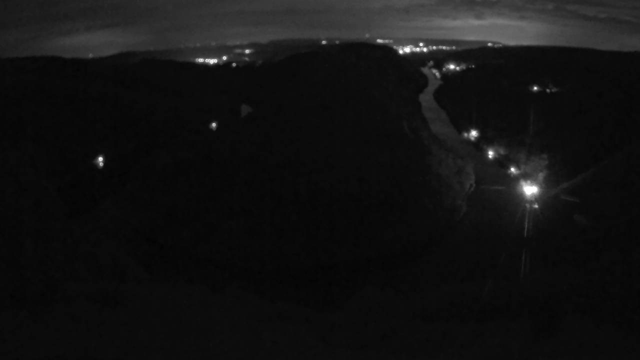 Archived image Webcam Canopy Pathway Saar Loop