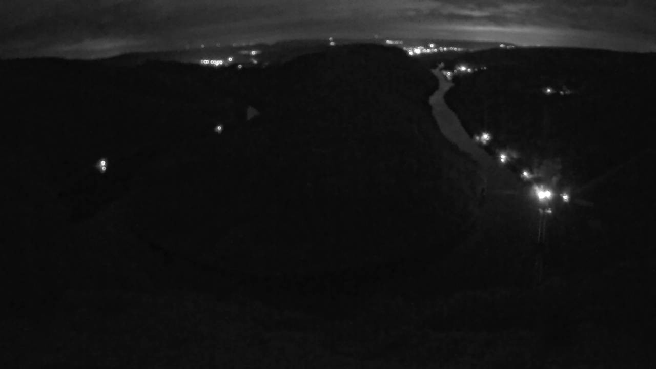 Archived image Webcam Canopy Pathway Saar Loop