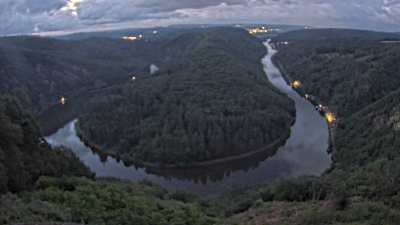 Archived image Webcam Canopy Pathway Saar Loop