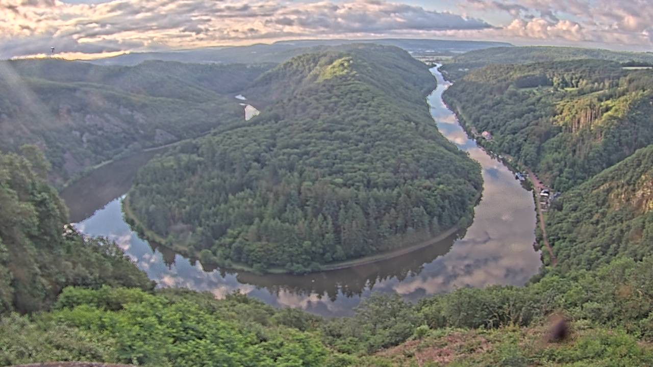 Archived image Webcam Canopy Pathway Saar Loop