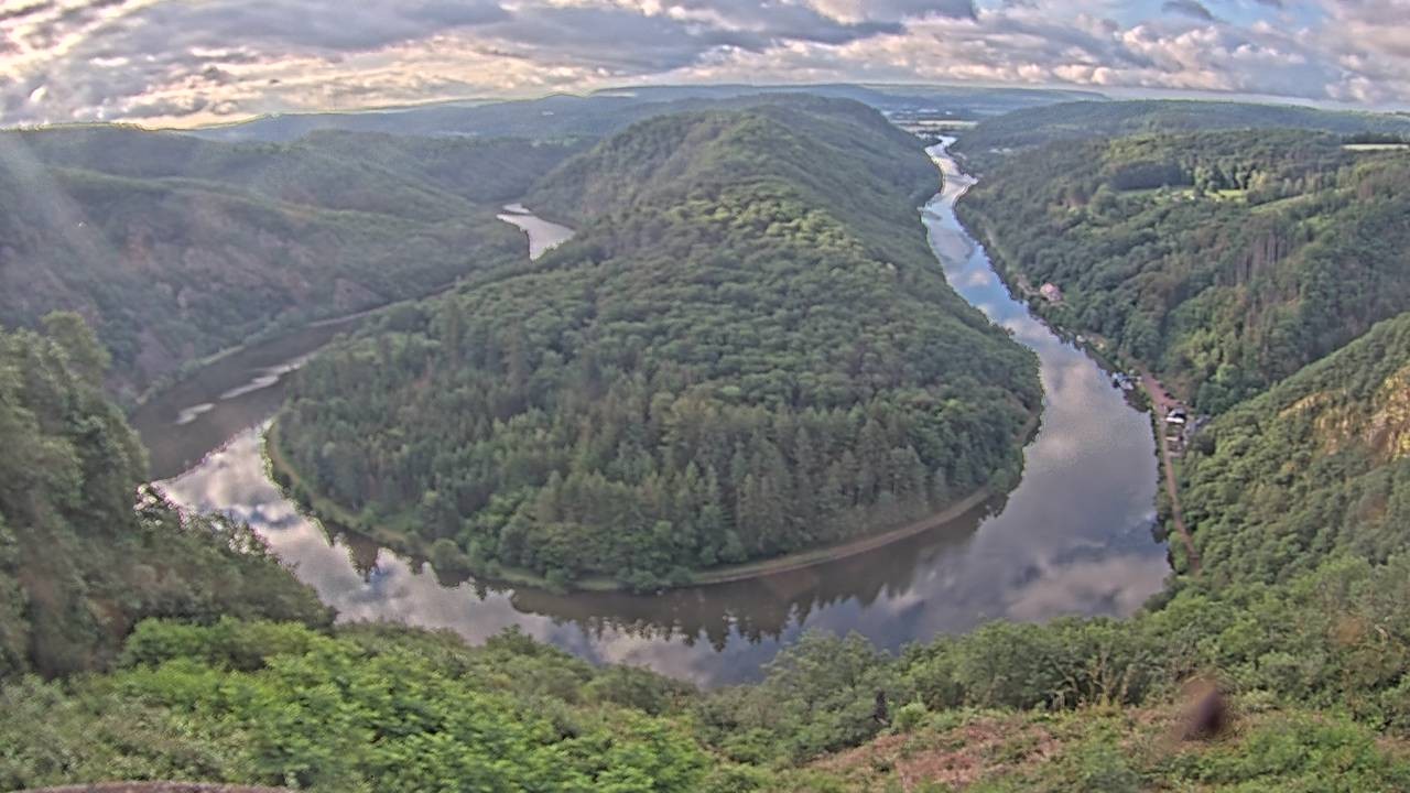 Archived image Webcam Canopy Pathway Saar Loop