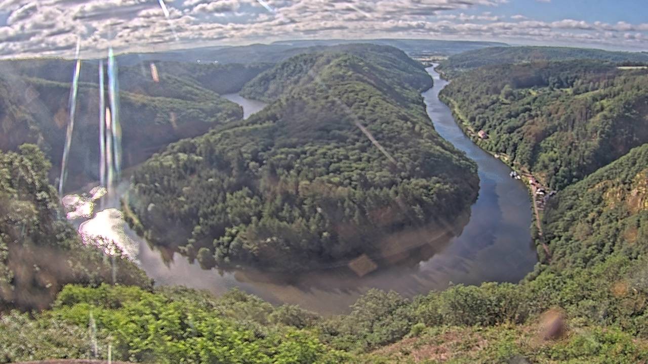 Archived image Webcam Canopy Pathway Saar Loop