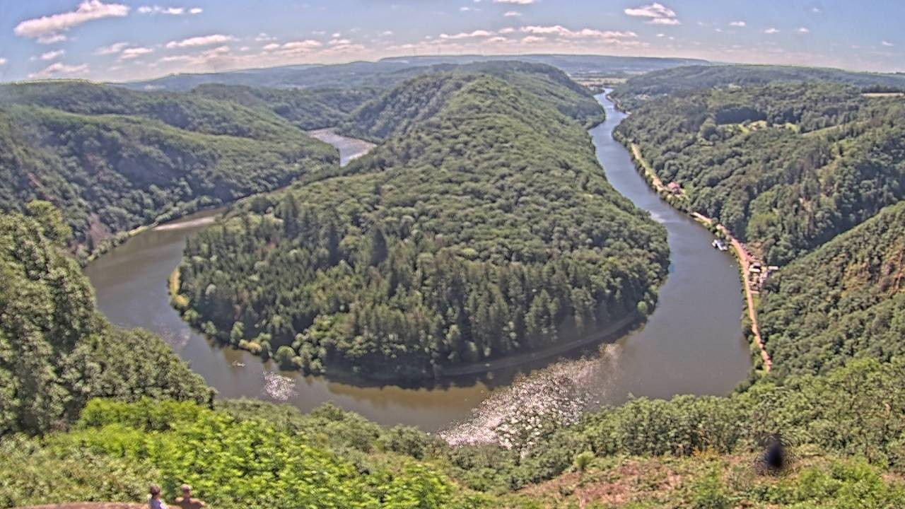 Archived image Webcam Canopy Pathway Saar Loop