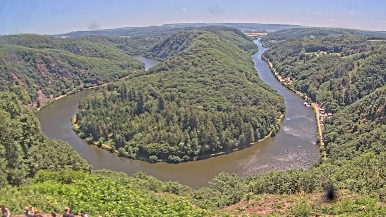 Archived image Webcam Canopy Pathway Saar Loop