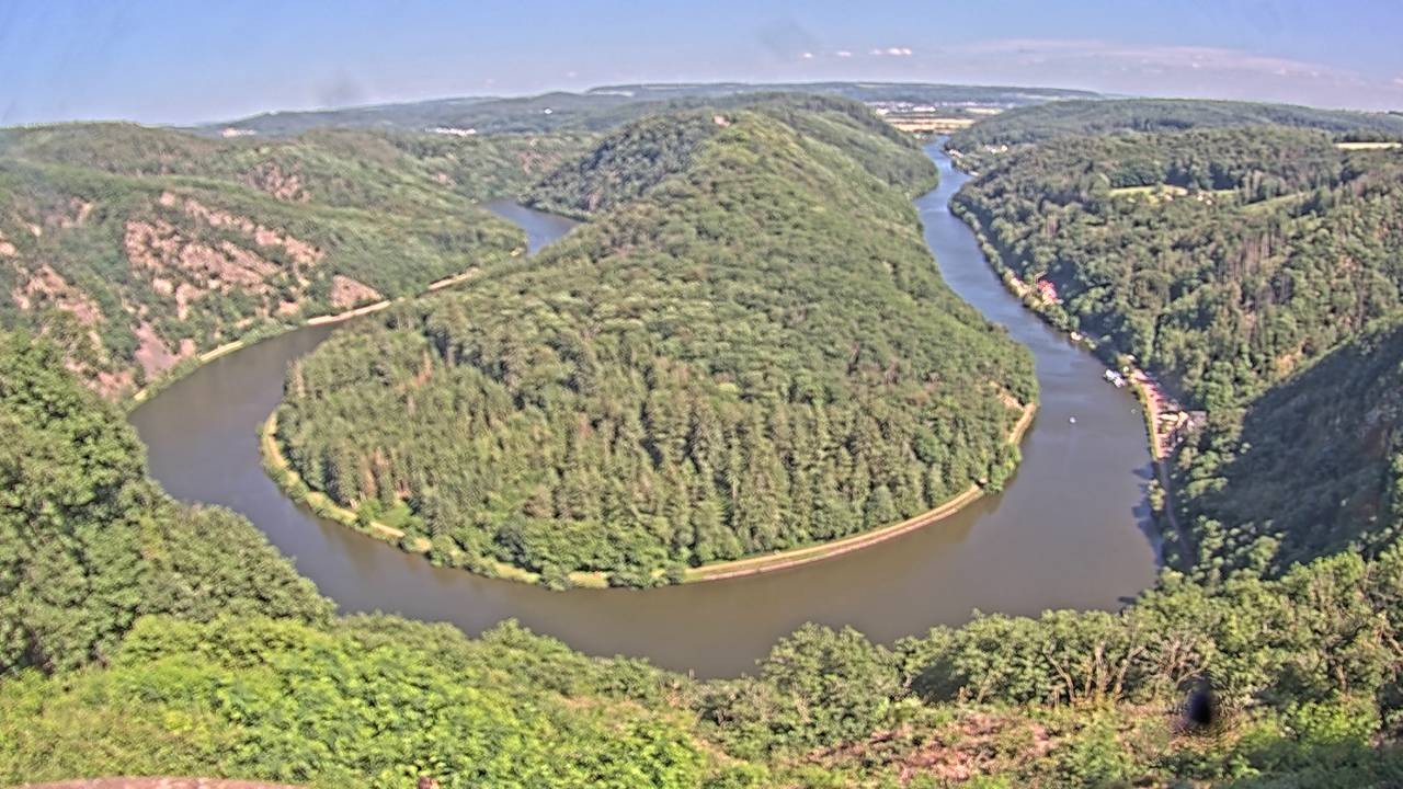 Archived image Webcam Canopy Pathway Saar Loop