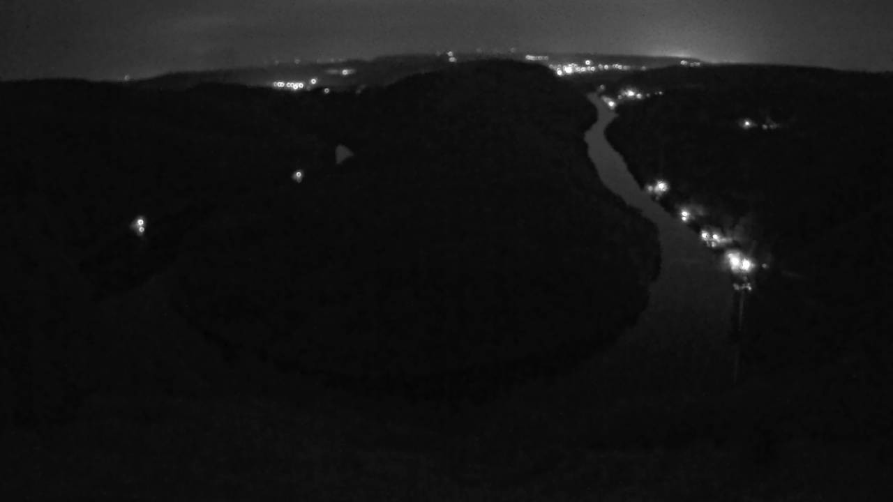 Archived image Webcam Canopy Pathway Saar Loop