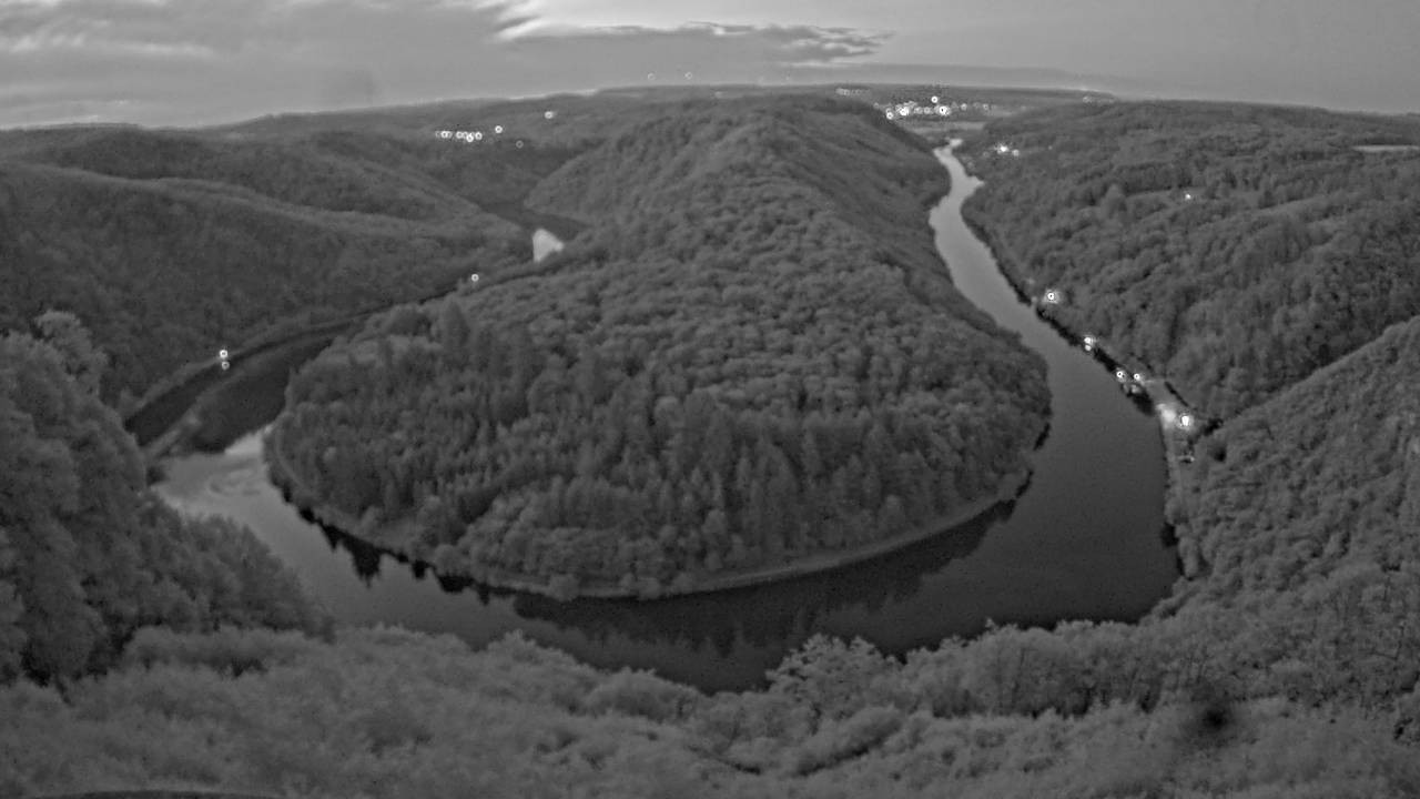 Archived image Webcam Canopy Pathway Saar Loop