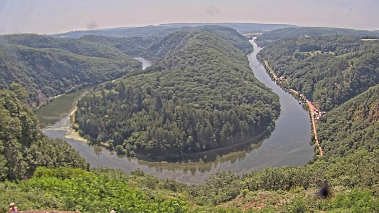 Archived image Webcam Canopy Pathway Saar Loop