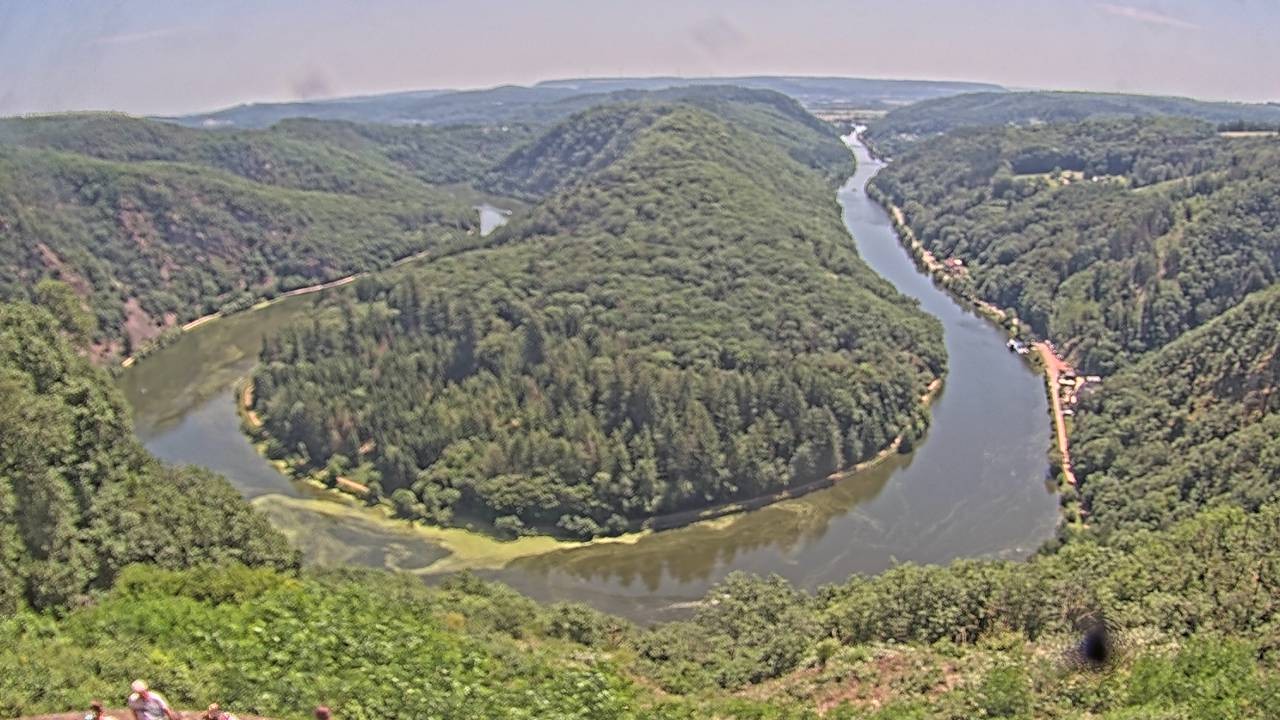 Archived image Webcam Canopy Pathway Saar Loop
