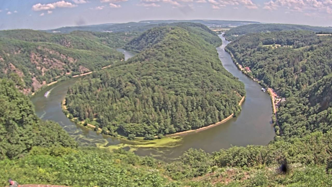 Archived image Webcam Canopy Pathway Saar Loop