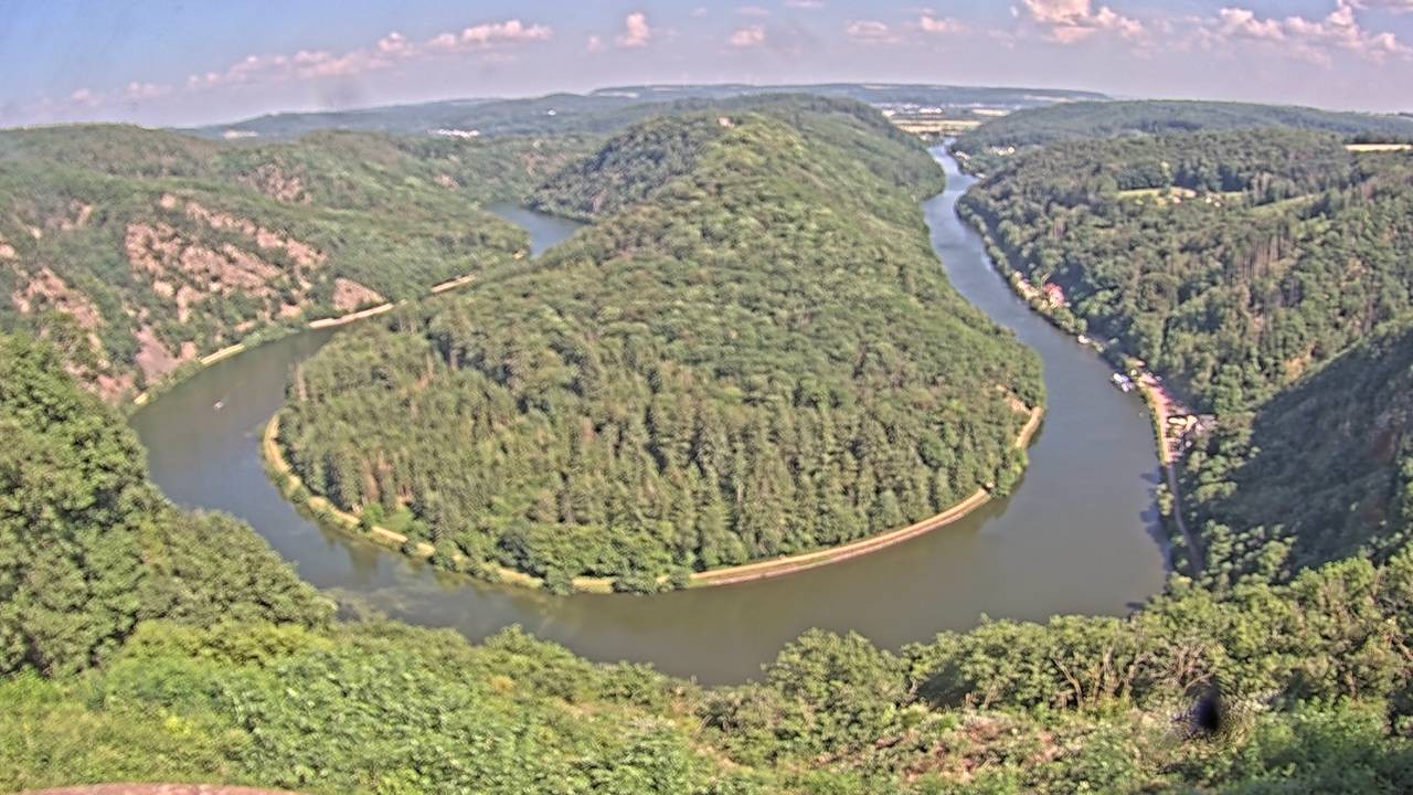 Archived image Webcam Canopy Pathway Saar Loop