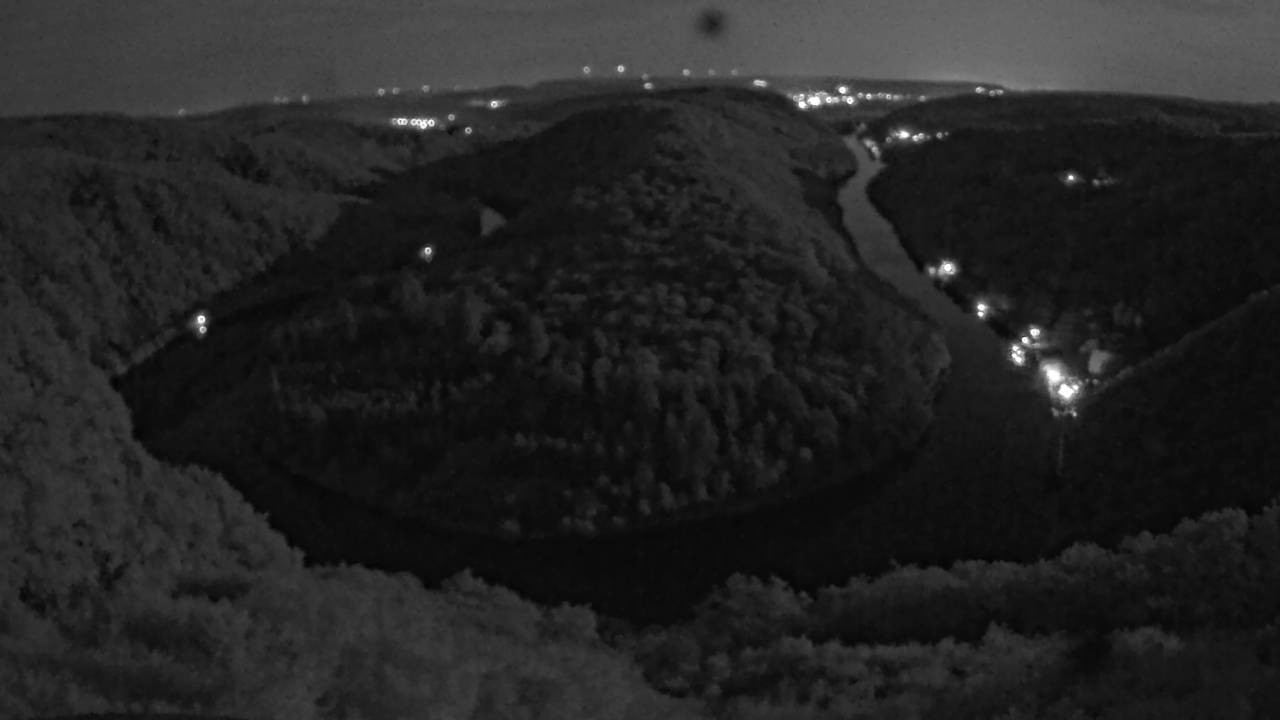 Archived image Webcam Canopy Pathway Saar Loop