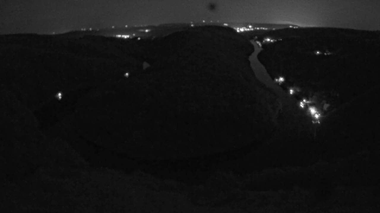 Archived image Webcam Canopy Pathway Saar Loop