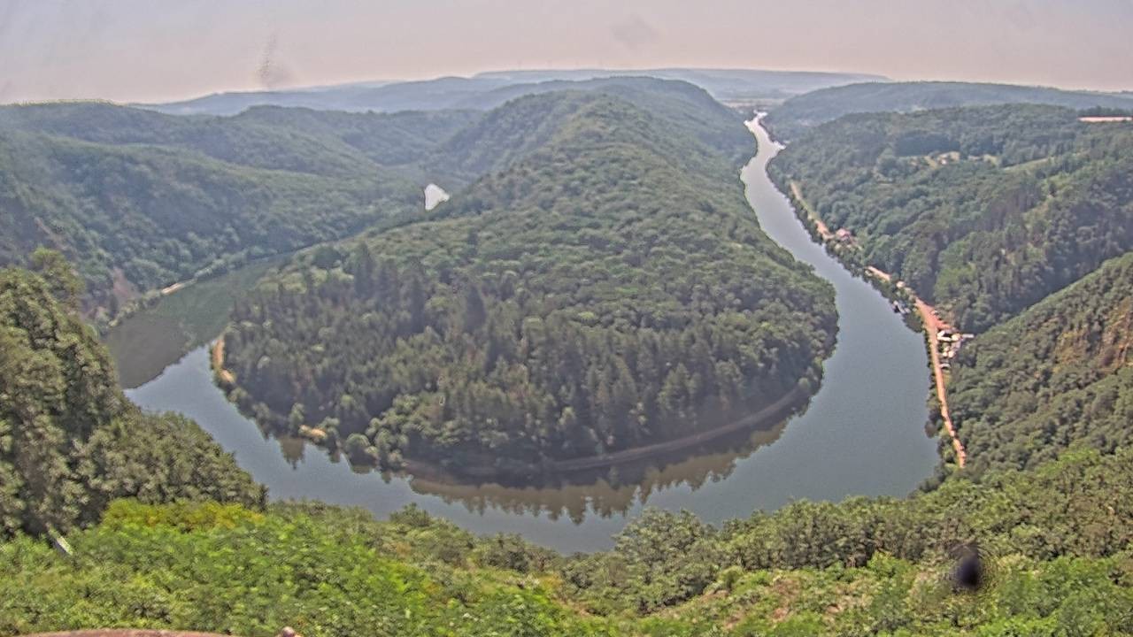 Archived image Webcam Canopy Pathway Saar Loop
