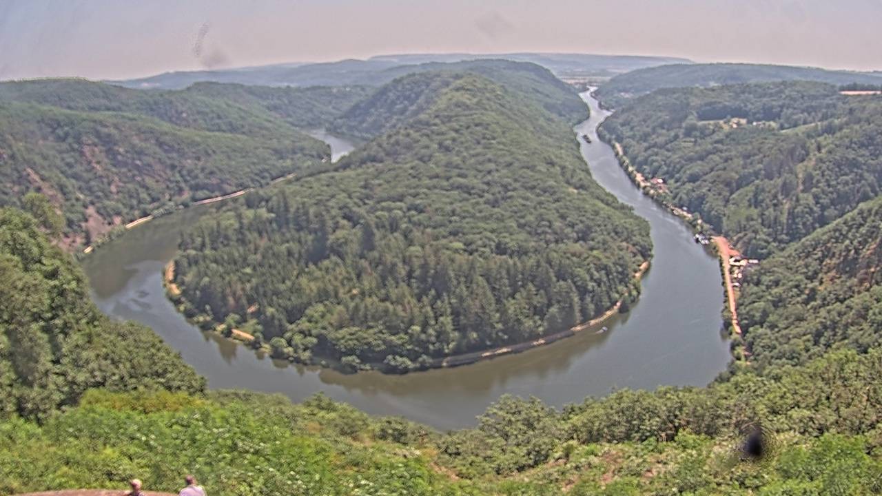 Archived image Webcam Canopy Pathway Saar Loop