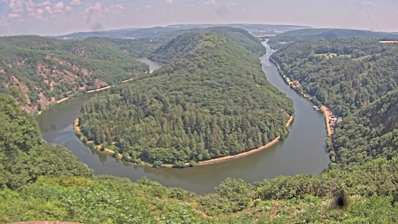 Archived image Webcam Canopy Pathway Saar Loop