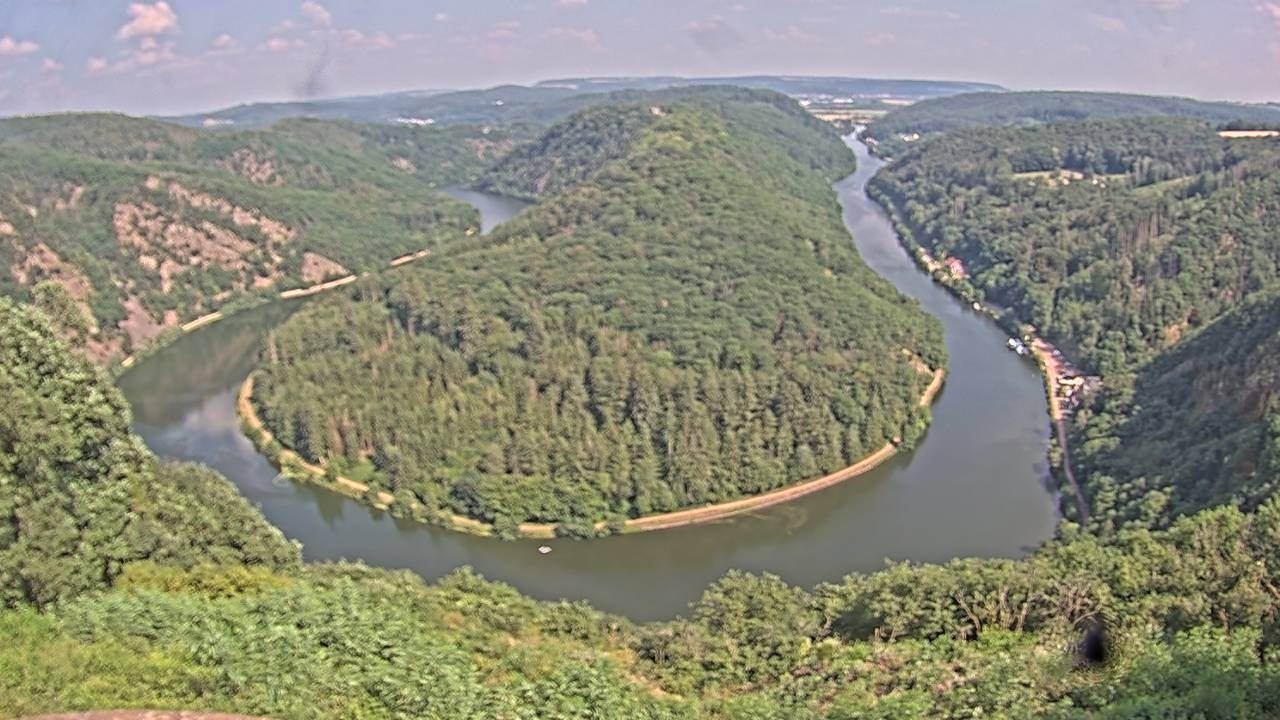 Archived image Webcam Canopy Pathway Saar Loop