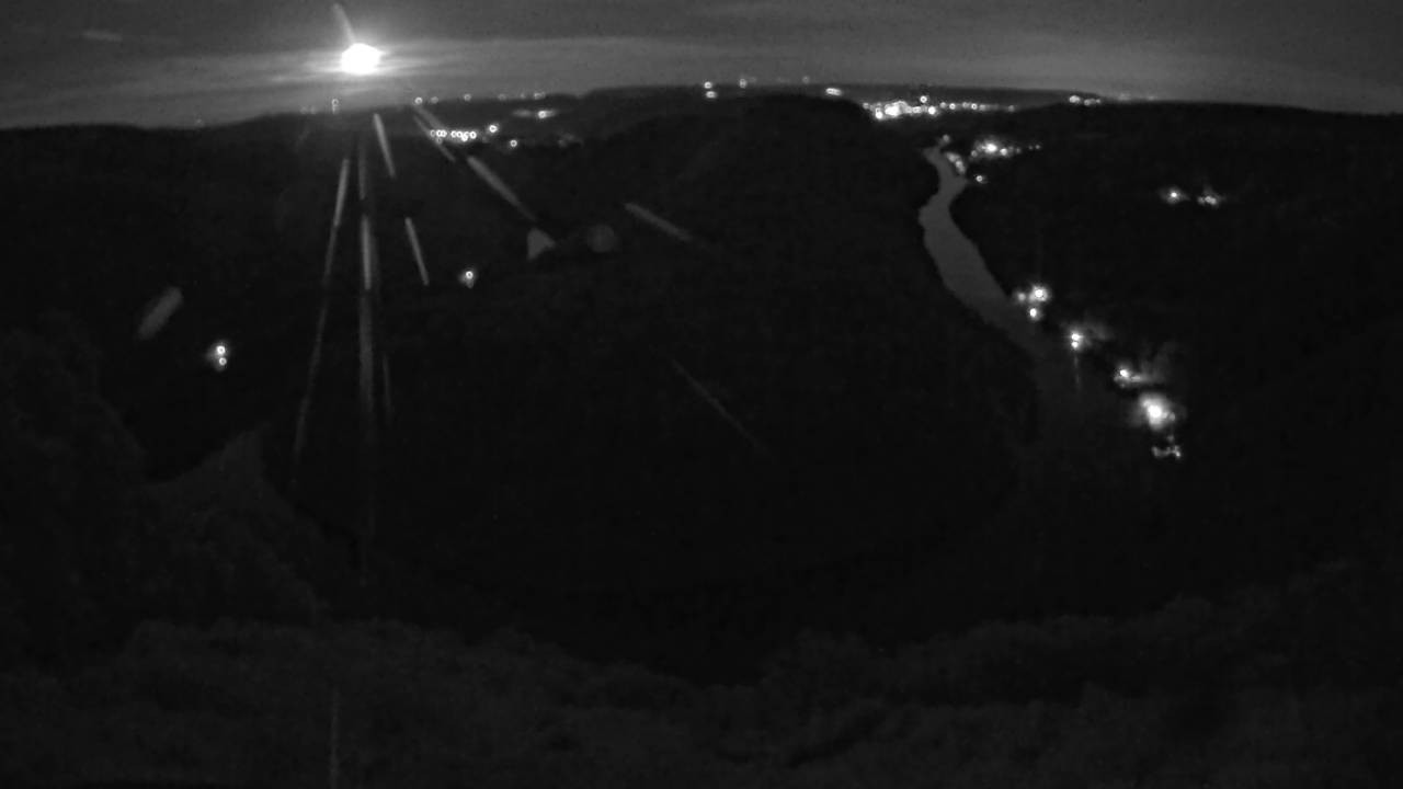 Archived image Webcam Canopy Pathway Saar Loop