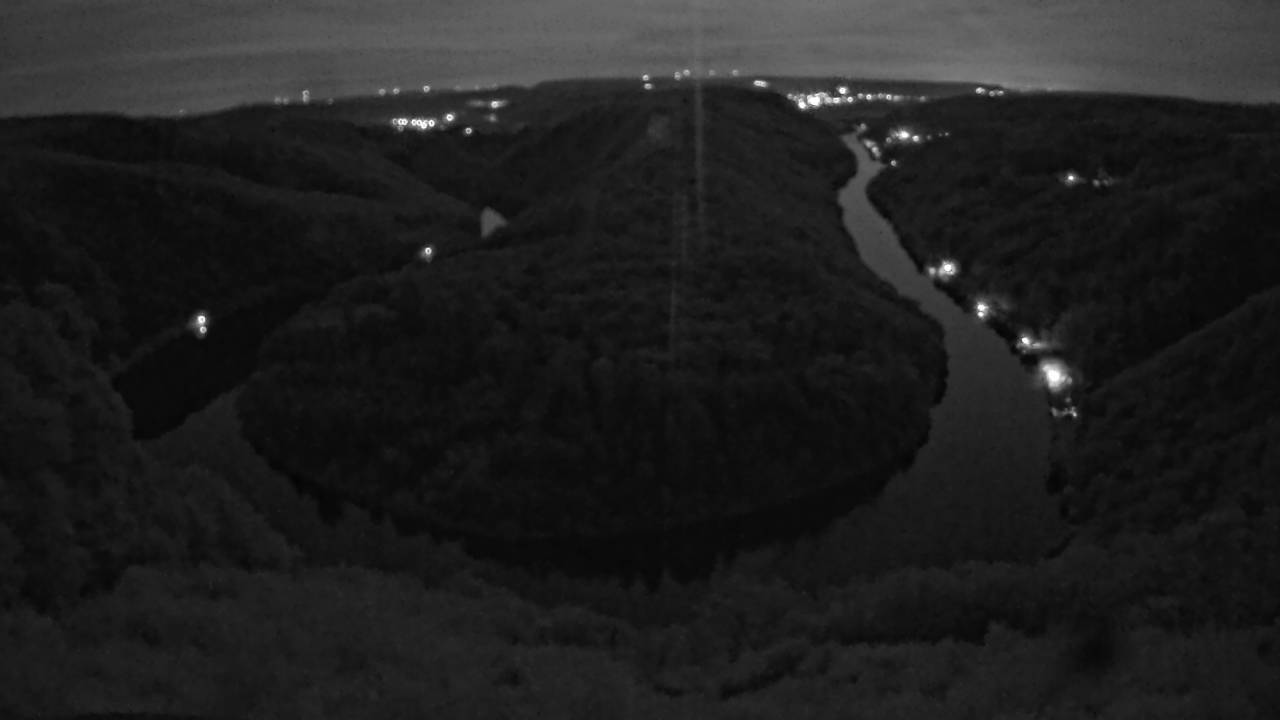 Archived image Webcam Canopy Pathway Saar Loop