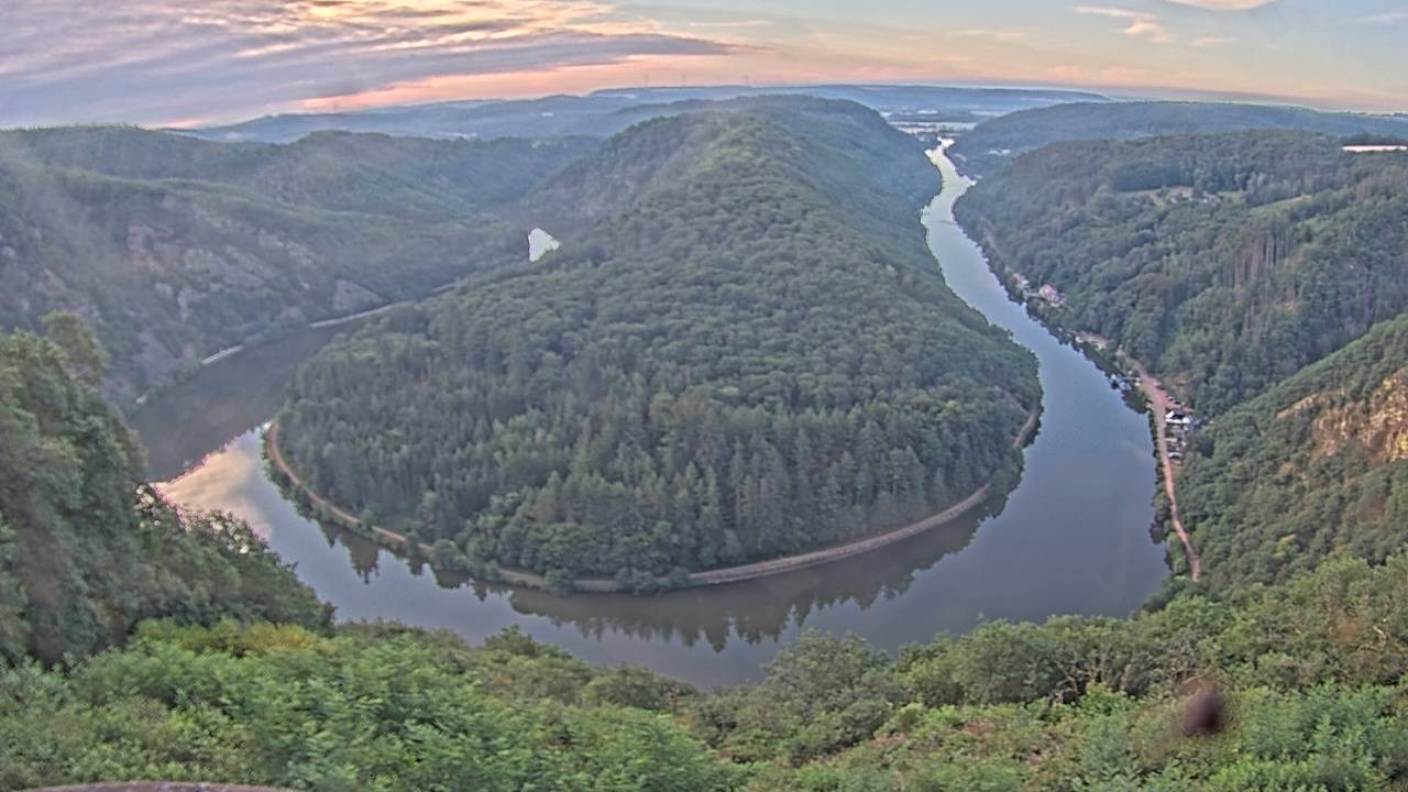 Archived image Webcam Canopy Pathway Saar Loop