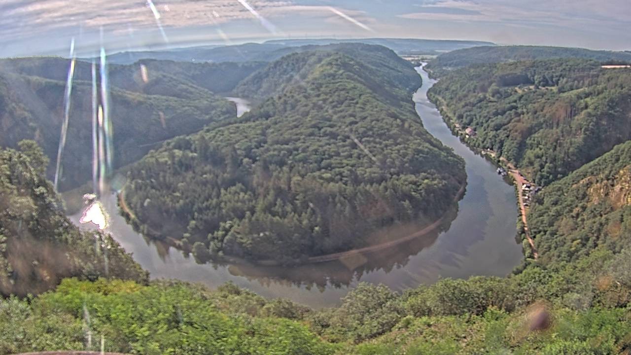 Archived image Webcam Canopy Pathway Saar Loop