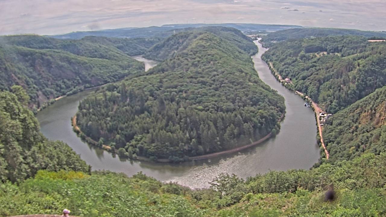 Archived image Webcam Canopy Pathway Saar Loop