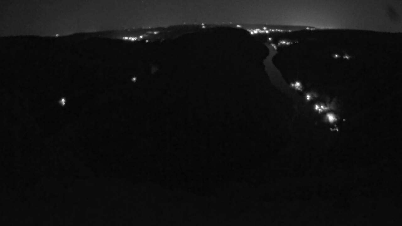 Archived image Webcam Canopy Pathway Saar Loop