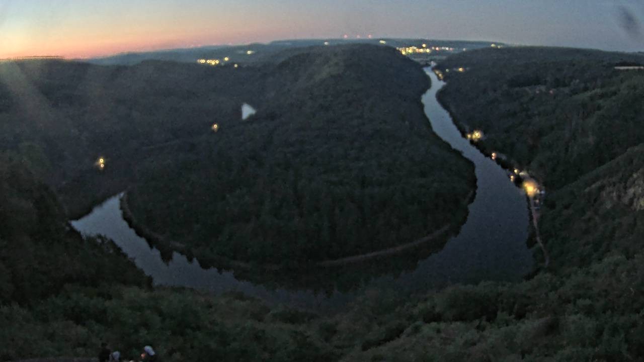 Archived image Webcam Canopy Pathway Saar Loop