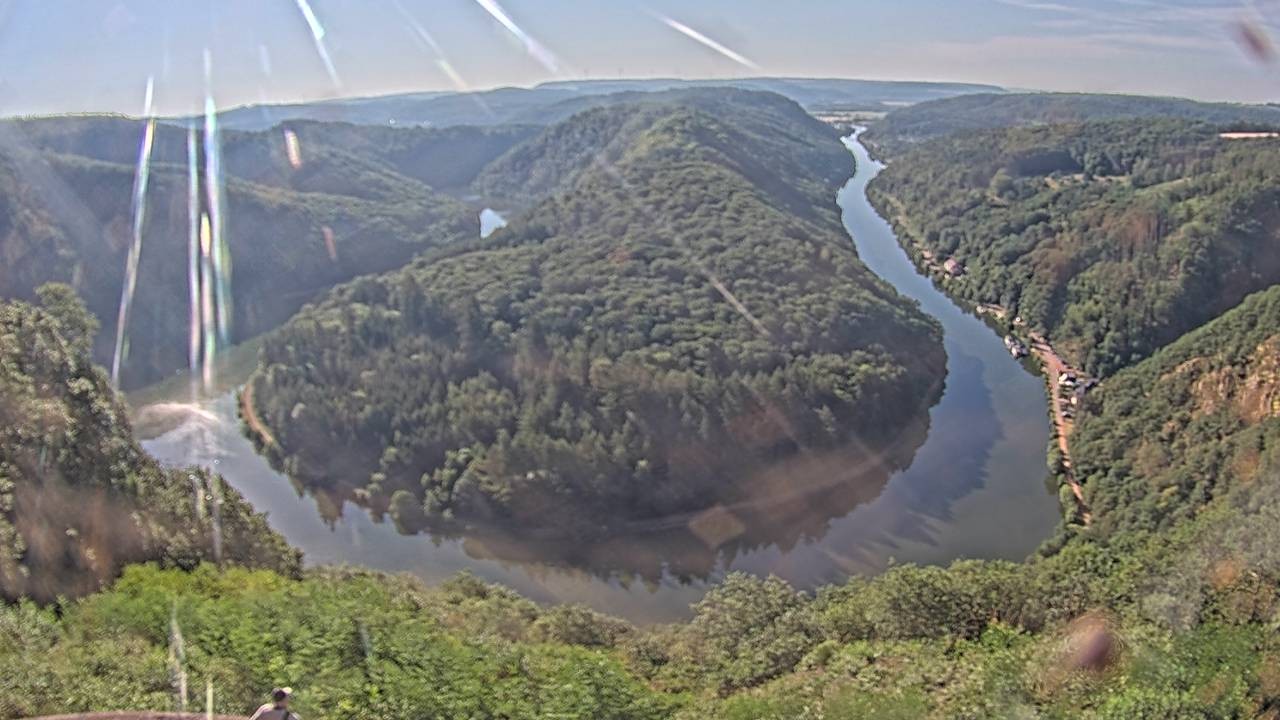 Archived image Webcam Canopy Pathway Saar Loop