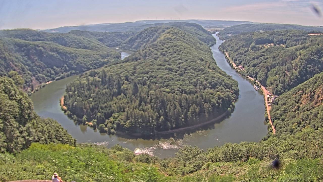 Archived image Webcam Canopy Pathway Saar Loop