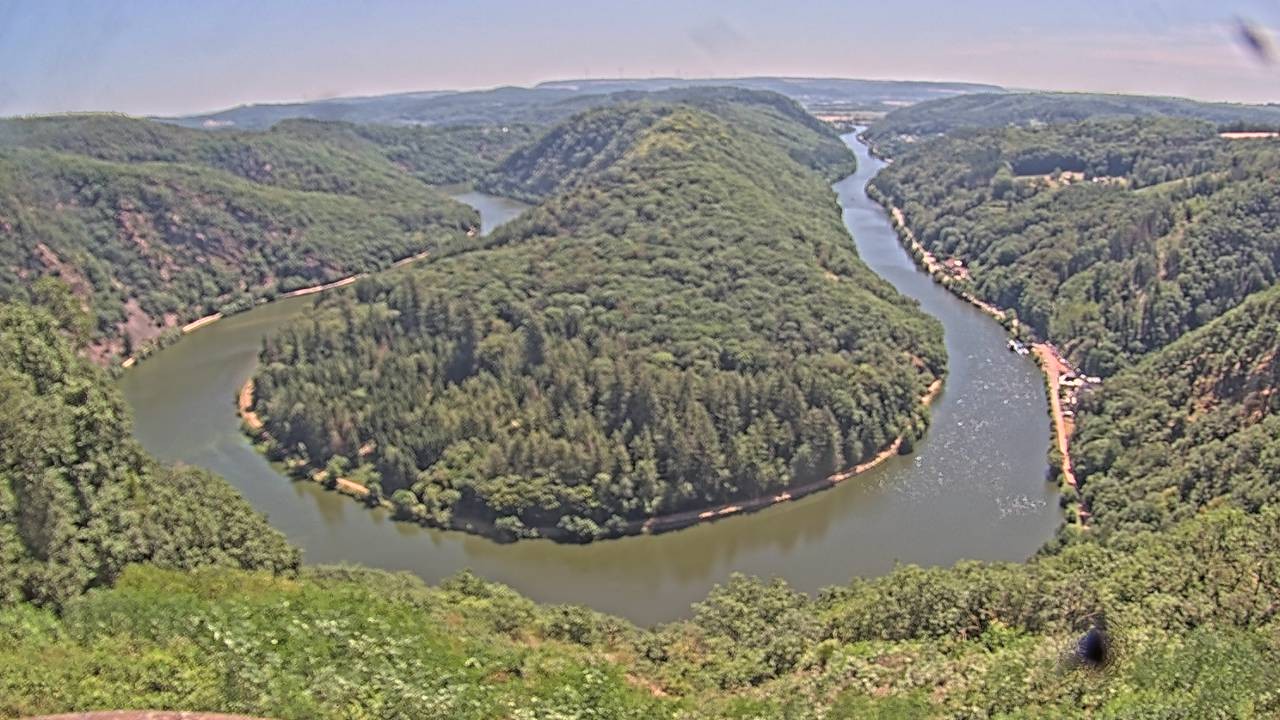 Archived image Webcam Canopy Pathway Saar Loop