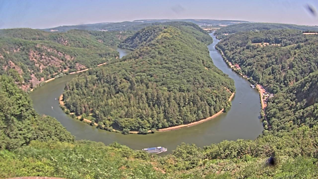 Archived image Webcam Canopy Pathway Saar Loop