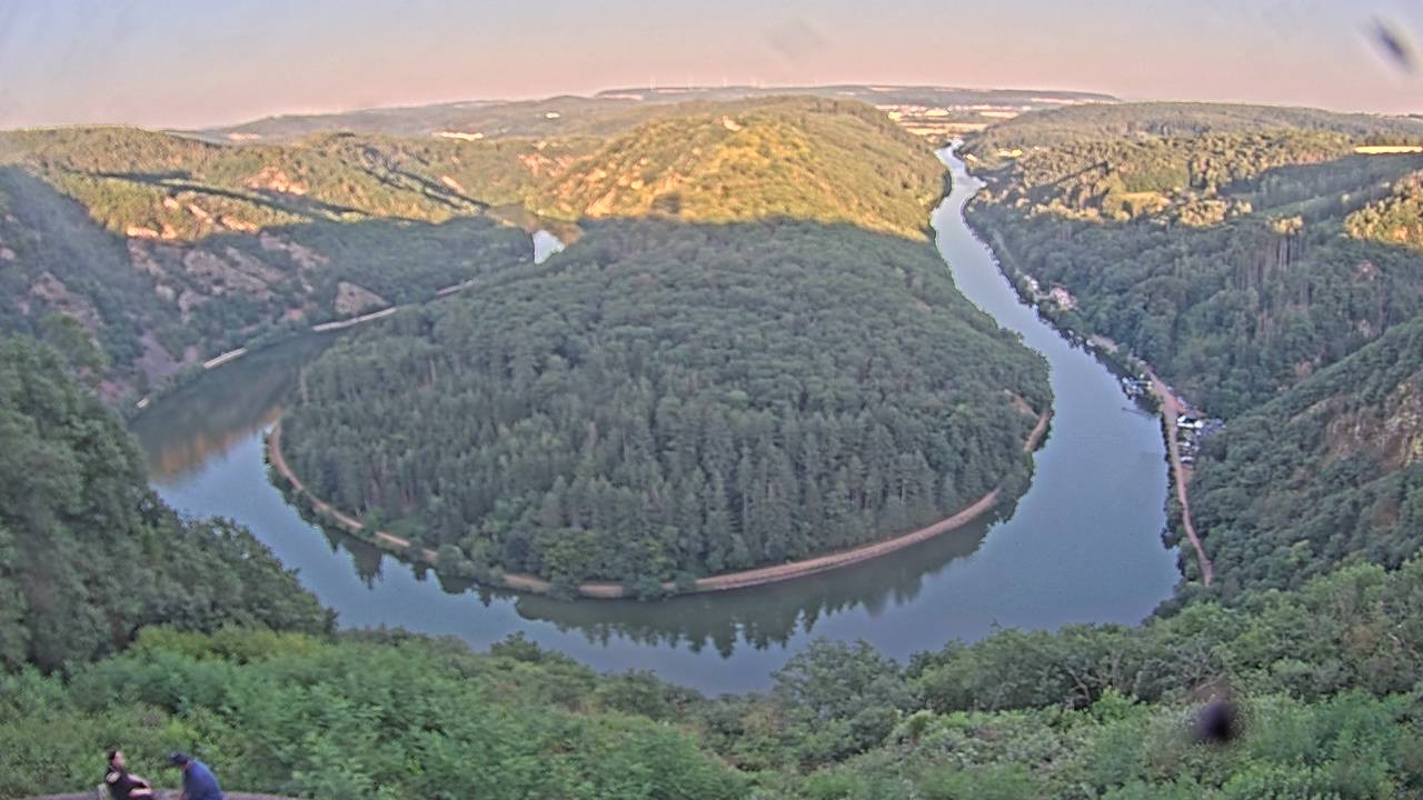 Archived image Webcam Canopy Pathway Saar Loop