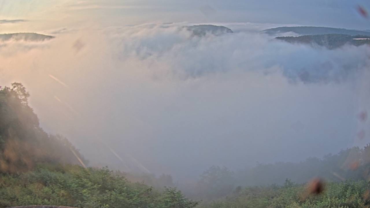 Archiv Foto Webcam Saarschleife