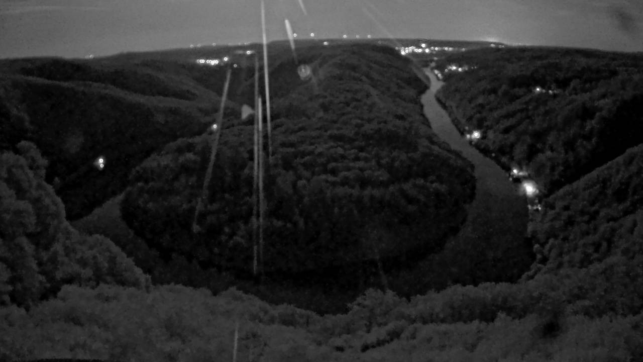 Archived image Webcam Canopy Pathway Saar Loop