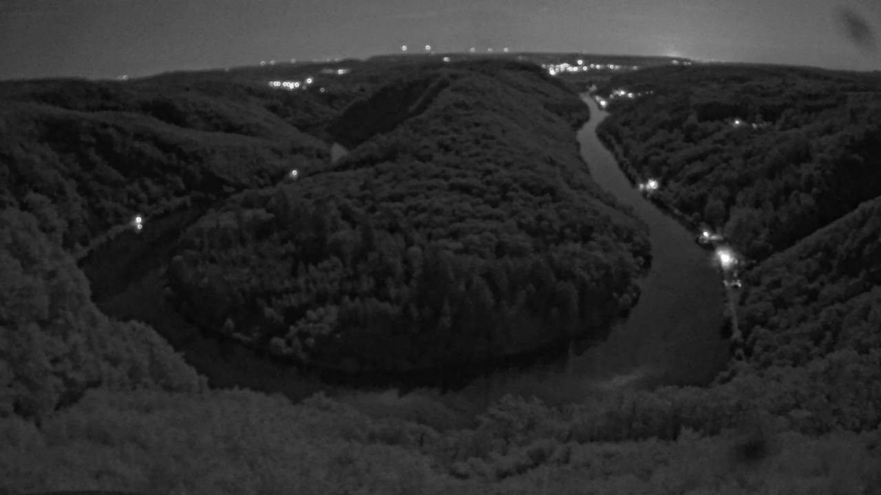 Archived image Webcam Canopy Pathway Saar Loop