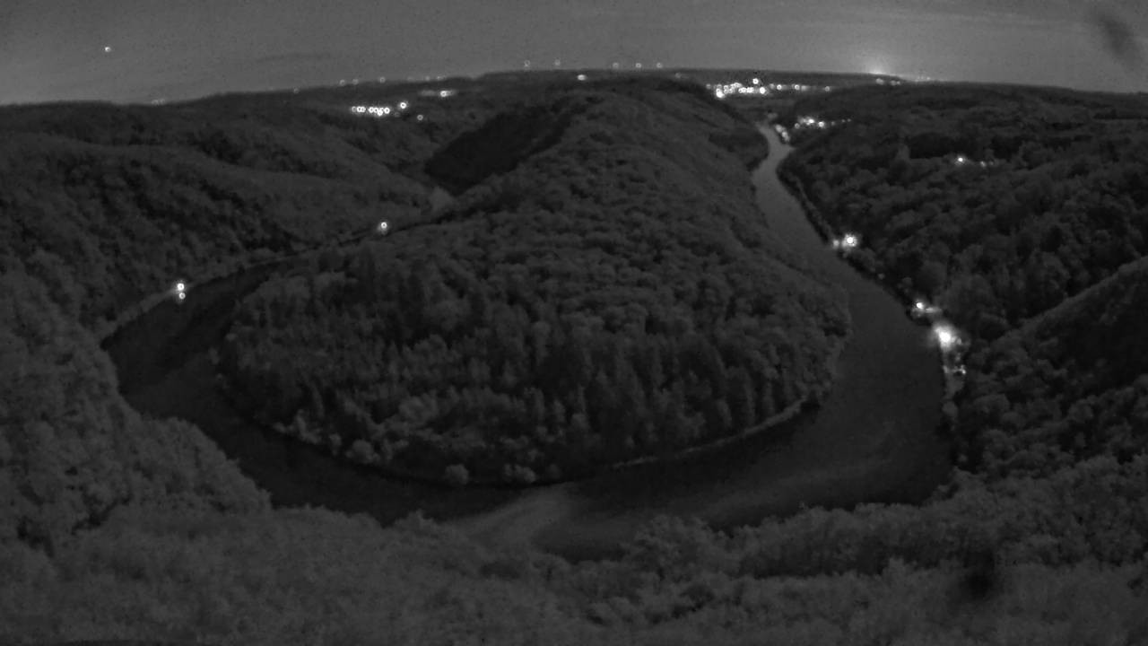 Archived image Webcam Canopy Pathway Saar Loop