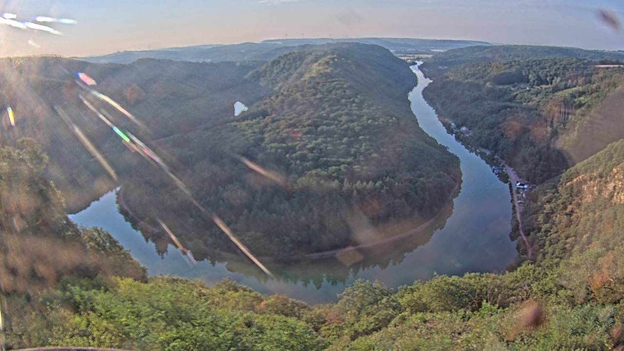Archived image Webcam Canopy Pathway Saar Loop