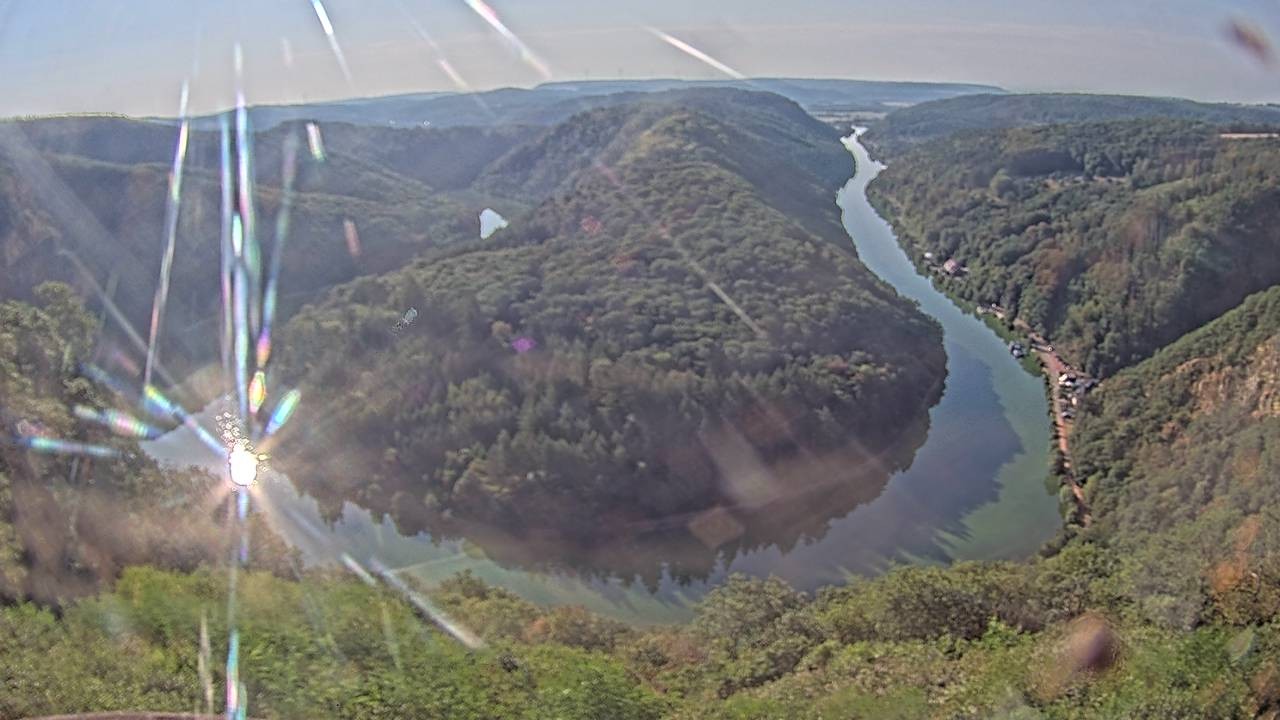 Archived image Webcam Canopy Pathway Saar Loop