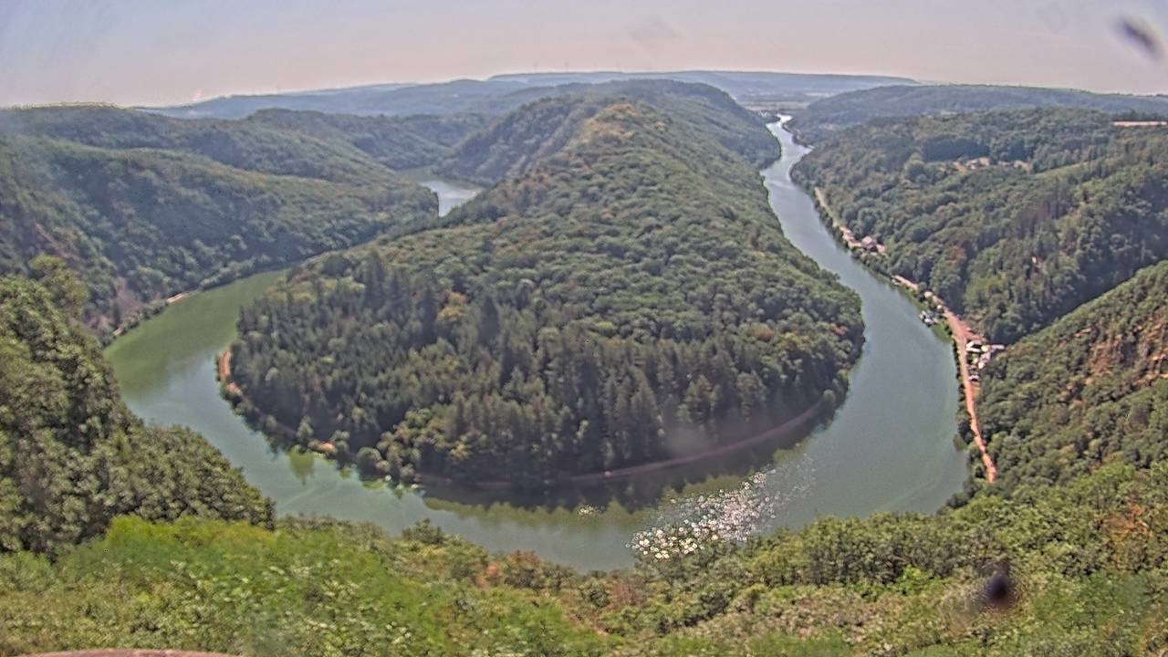 Archived image Webcam Canopy Pathway Saar Loop