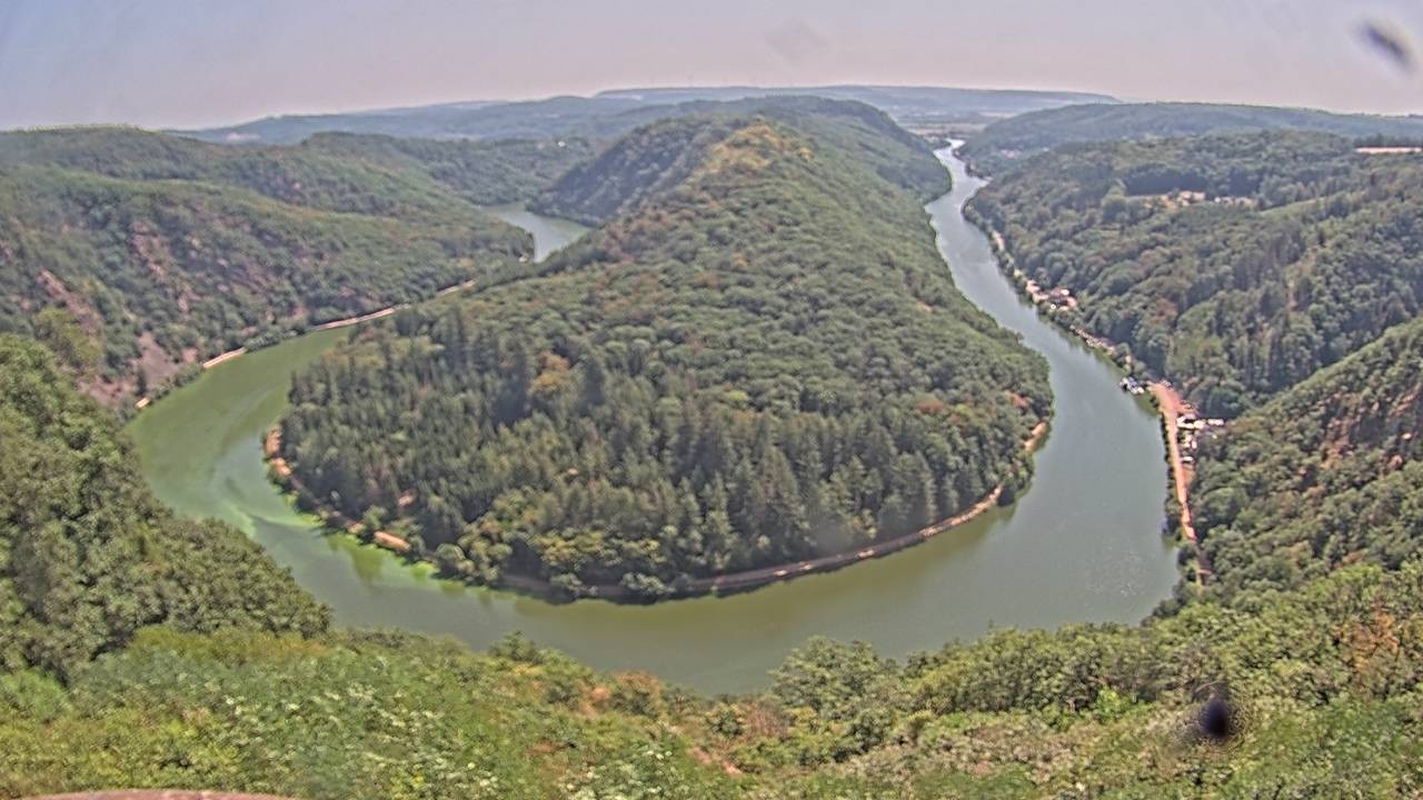 Archived image Webcam Canopy Pathway Saar Loop