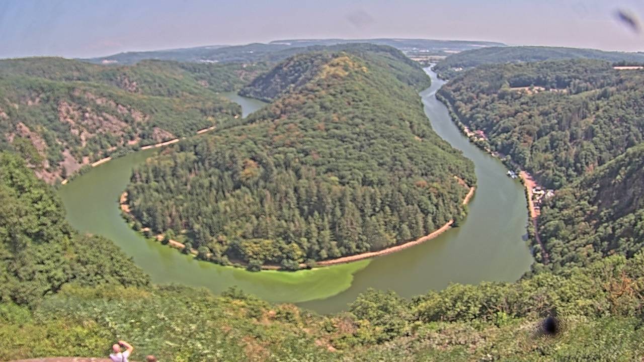 Archived image Webcam Canopy Pathway Saar Loop