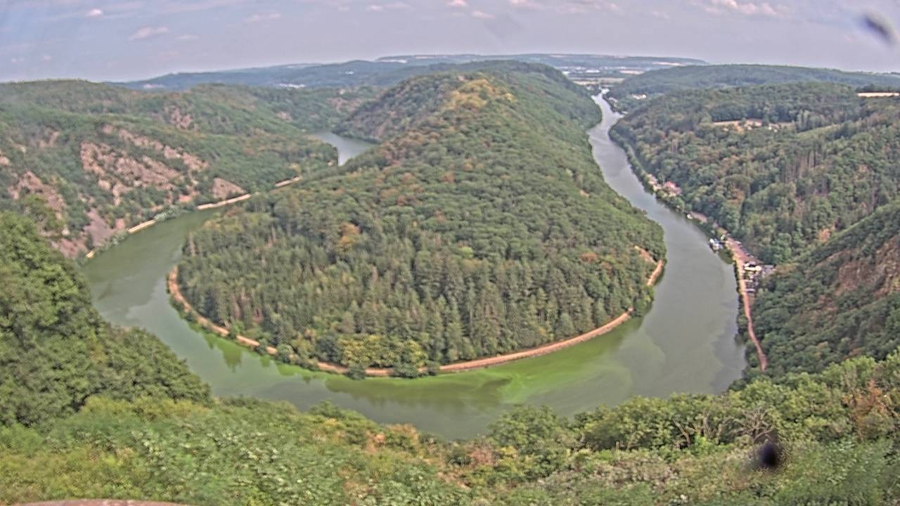 Archived image Webcam Canopy Pathway Saar Loop